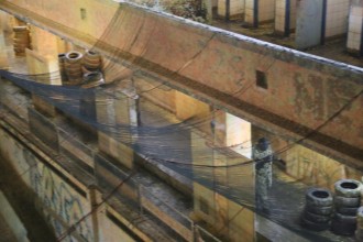 69cash_war_race_2016_243  